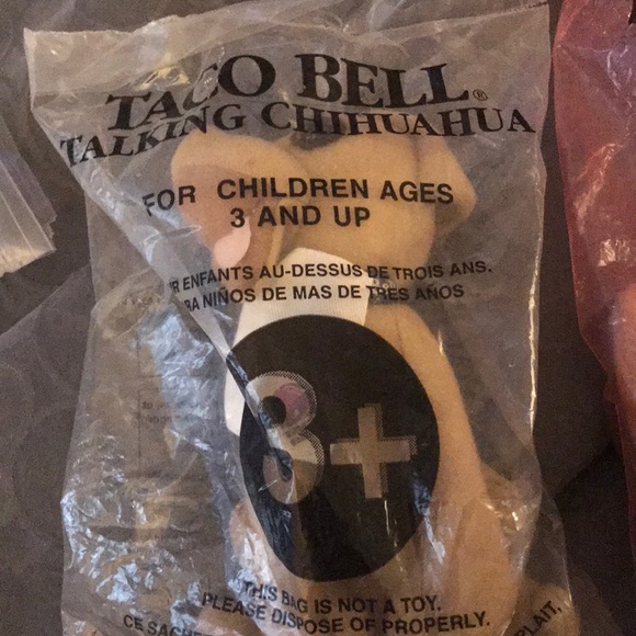 Two taking bell chihuahuas - Picture 2 of 2